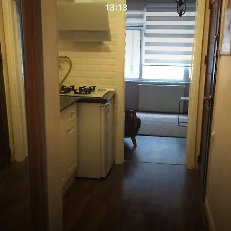 Besiktas 1+1 Fully Fresh New Furnished Apartment Istanbul